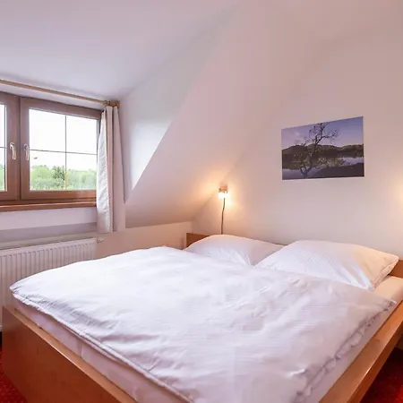 Engadin Apartment Bozi Dar