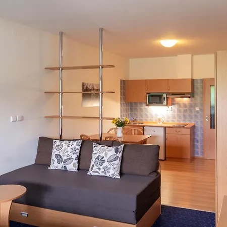 Apartament Engadin Boží Dar