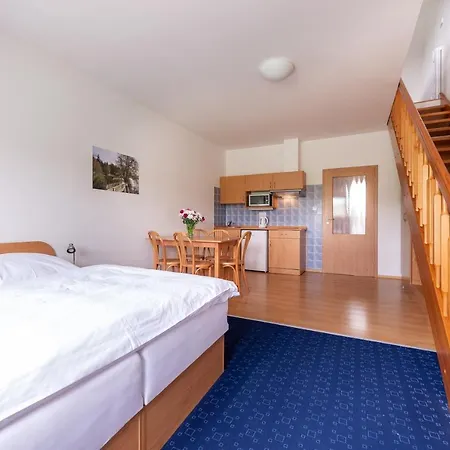Apartament Engadin Boží Dar